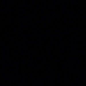 Meet your Posher, Kira